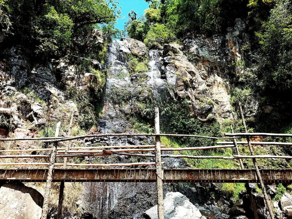 Cabana Para Pareja En El Bosque Ib Acaxochitlán المظهر الخارجي الصورة