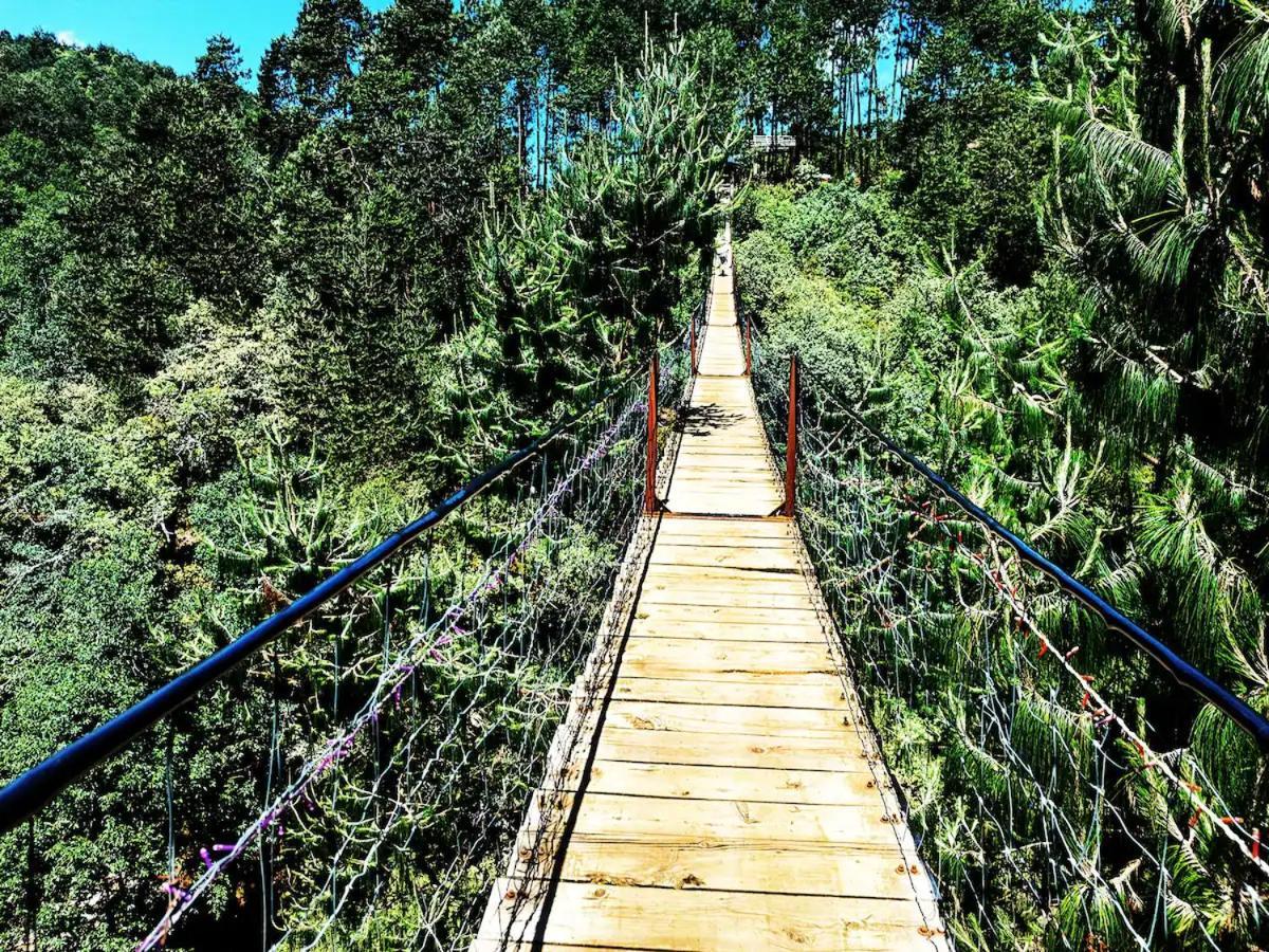 Cabana Para Pareja En El Bosque Ib Acaxochitlán المظهر الخارجي الصورة
